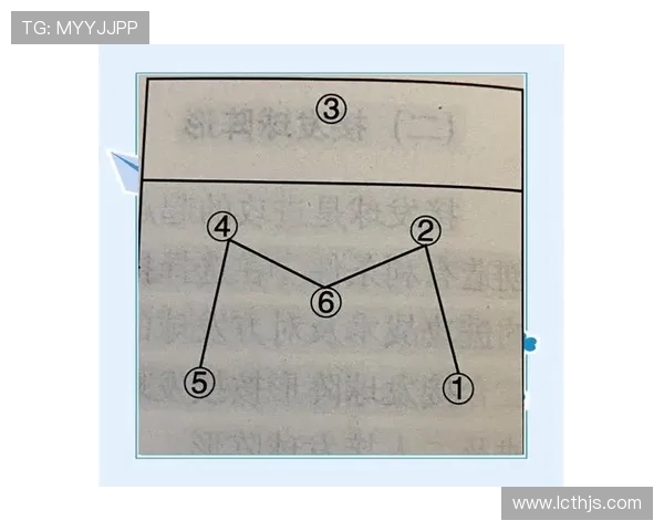 排球盛宴：深入解析北京排球队员的个人技能与战术配合